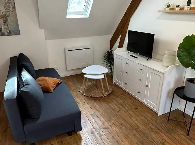 Superbe Appartement Mansarde Avec Mezzanine - Proche Centre Ville, Thermes, Aquensis