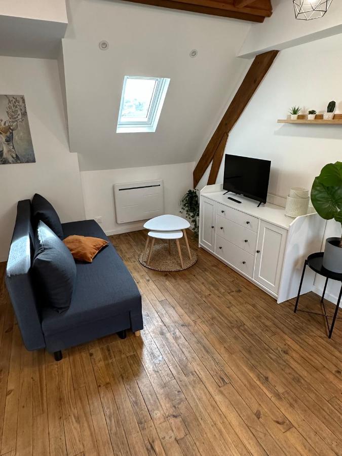 Superbe Mansarde Avec Mezzanine - Proche Centre Ville, Thermes, Aquensis Apartment Bagneres-de-Bigorre
